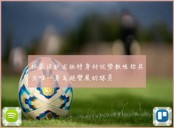 林葳谈狄龙独特身材优势教练称其为唯一身高超臂展的球员