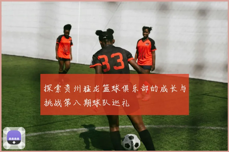 探索贵州猛龙篮球俱乐部的成长与挑战第八期球队巡礼